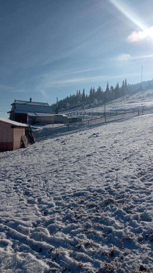 Gutsulska Oselya Villa Krivopol'ye Exterior foto