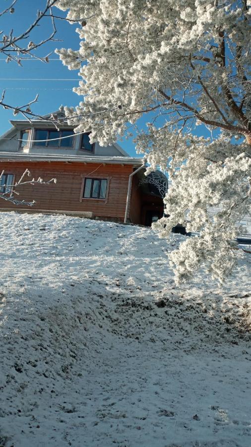 Gutsulska Oselya Villa Krivopol'ye Exterior foto